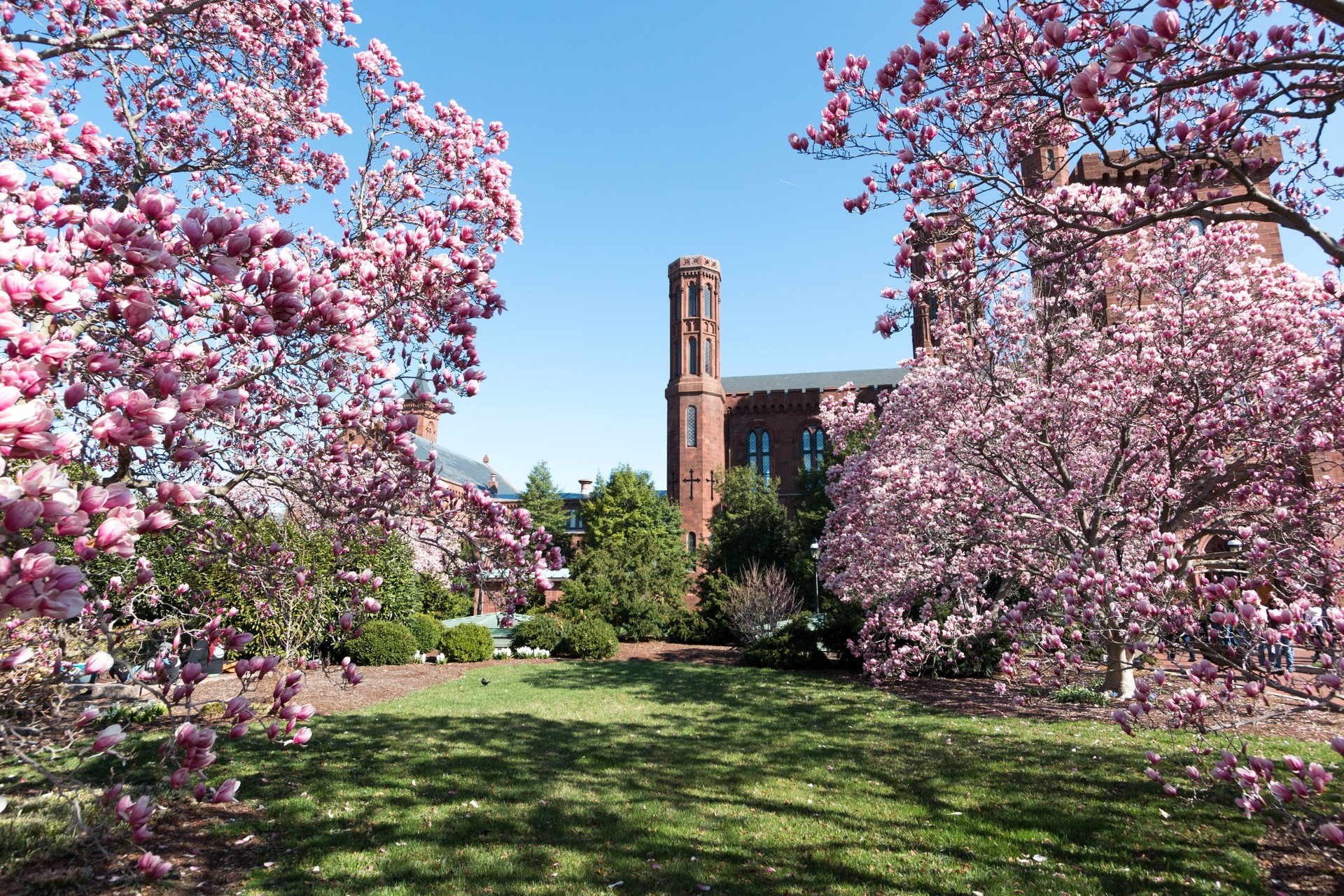 Spring in Washington, DC